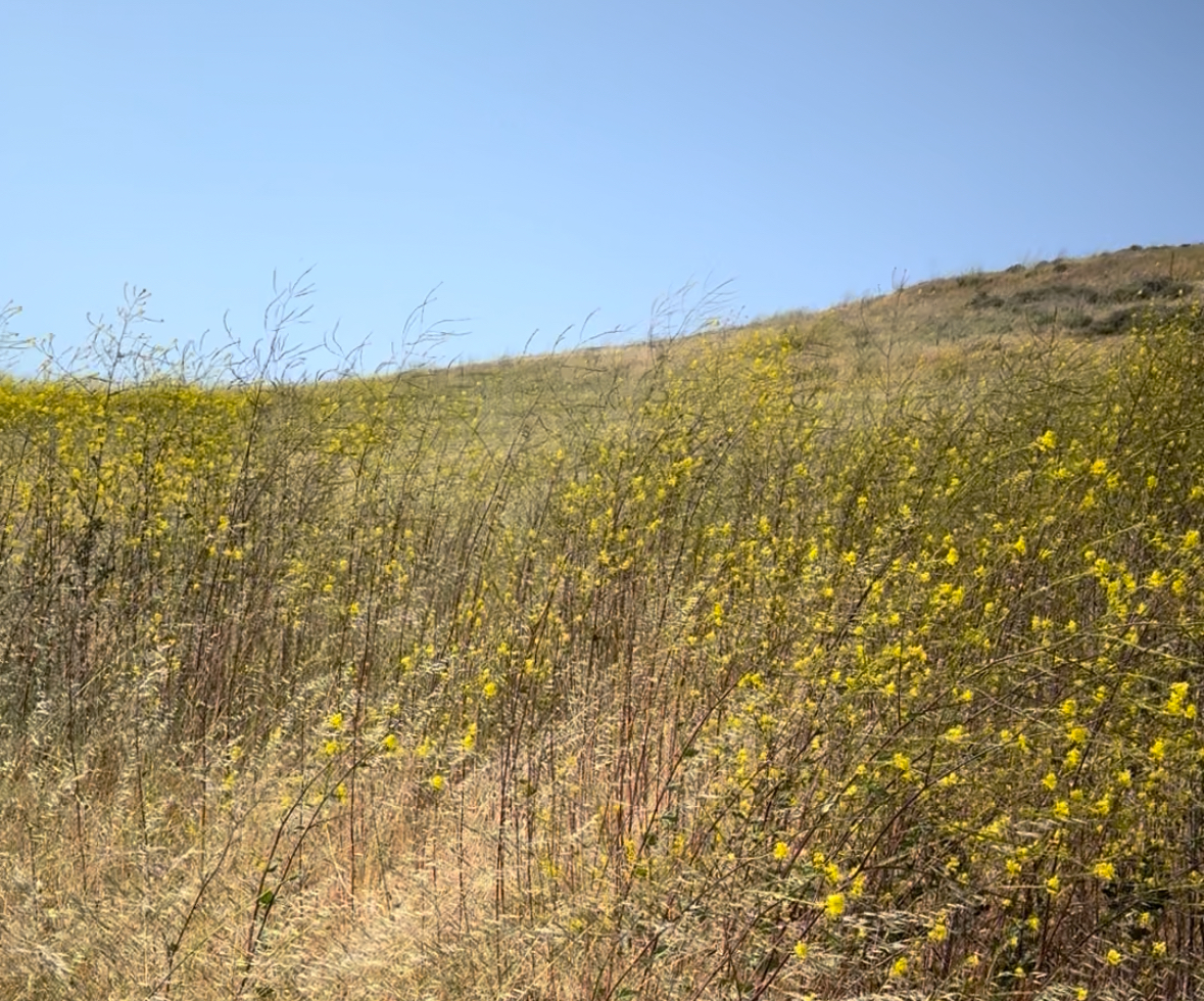 Choices in Your 30s: Surviving Bay Area Mom Life + 3 Spring Favorites